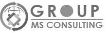 Group MS Consulting